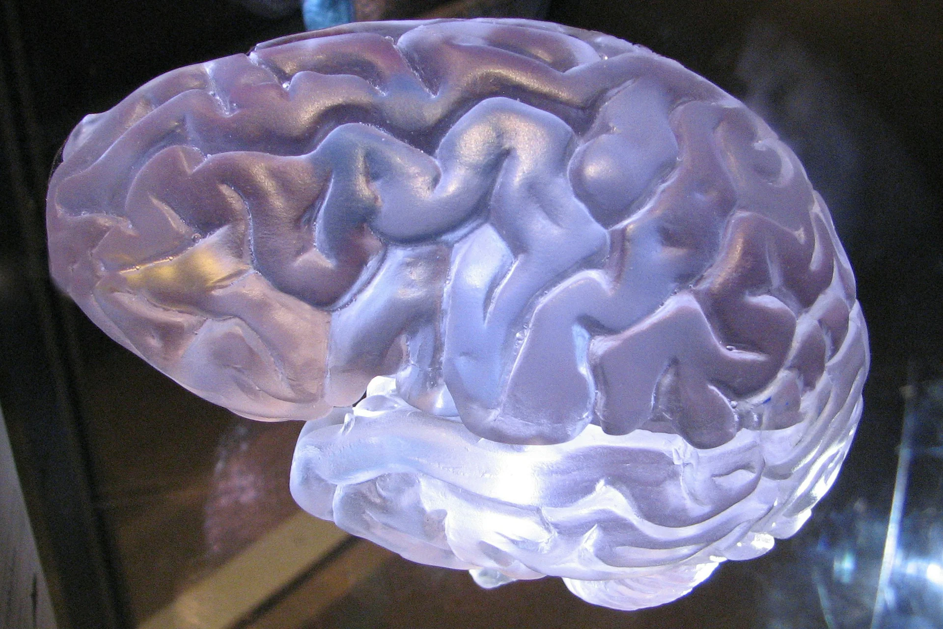 Epilepsiya